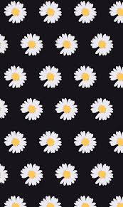 Wallpaper foto dan gambar bunga cantik untuk laptop satria baja. Pin Oleh Zendi Uncela Di Gd Bunga Daisy Lukisan Bunga Matahari Latar Belakang