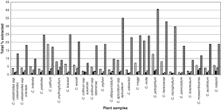 Image result for Combretum celastroides