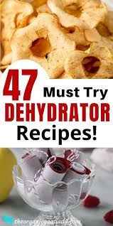 47 Food Dehydrator Recipes The Organic Goat Lady Dehydrator Recipes Food Recipes