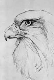 Cool Art Drawings Animal Drawings Drawings