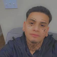 Looking for someone to tint moon roof