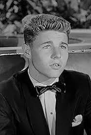 The Adventures of Ozzie and Harriet" David Picks Up the Tab (TV Episode  1956)