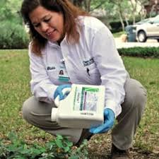 From the start they have but nothing but wonderful to work with. Chem Free Organic Pest Lawn Services 65 Reviews Pest Control 9475 Hwy 290 E Austin Tx Phone Number