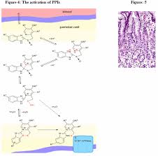 Critical illness can disrupt local and systemic mechanisms that. A Review On Gastro Intestinal Drug Esomeprazole Pharmatutor