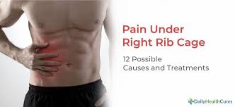 Picture of what is under your rib cage : Pain Under Right Rib Cage 12 Possible Causes And Treatments