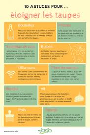 10 Astuces Pour Eloigner Les Taupes Taupe Engrais Bio Astuces