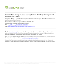 View all maura rivera pictures. Pdf Unnoticed Sex Change In Atrina Maura Bivalvia Pinnidae Histological And Size Structure Evidence