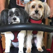 Are quick release steering wheels DOT approved?