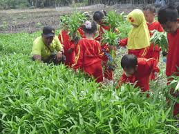 Di pekanbaru, kisaran biaya pengacara perceraian menurut informasi tahun lalu antara rp10 juta sampai rp50 juta. Harga Tiket Masuk Alas Prambon Harga Tiket Masuk Wisata Alas Prambon Alas Prambon Kabupaten Sidoarjo Biaya Outbound Alas Prambon Alas Prambon Sidoarjo