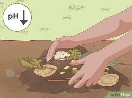 A ph of 6 to 7.5 will make essential nutrients available to to learn whether amendments are needed to raise or lower your soil ph, you can test it with a kit available at most garden supply centers. How To Lower Soil Ph With Pictures Wikihow