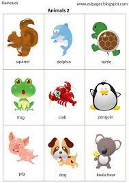 Animal Vocabulary Ingles Para Preescolar Aprender Ingles Para Ninos Ingles Basico Para Ninos