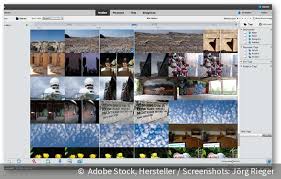 Preview watermarked images inside your designs first. Photoshop Oder Photoshop Elements Was Passt Zu Mir
