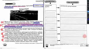 Idea utama dan idea sampingan. Tahun 2 Mengenalpasti Idea Utama Dan Idea Sampingan Aktiviti 3 Latihan Buku Aktiviti Jilid 2 Youtube