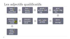 Check out the pronunciation, synonyms and grammar. Learn French Today The Qualifying Adjectives Youtube
