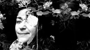 Jean-Marc, Auteur à Rph