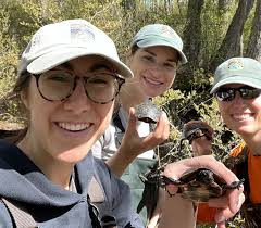 Division of Fish and Wildlife