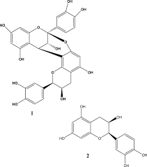 Image result for Zanha africana