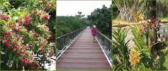 Открыть страницу «taman botani putrajaya» на facebook. Taman Botani Putrajaya