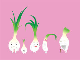 Leeks are a member of the onion family, native to the eastern mediterranean and the middle east—the biggest producers are indonesia, turkey, france, republic of korea, and belgium. Spring Onion Family Characters 681788 Vector Art At Vecteezy