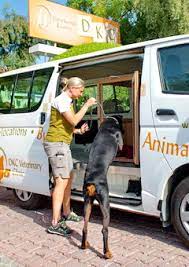 It is considered a core vaccine and is recommended for all dogs. Dkc Pet Vaccinations The Lazy Way Dubai Uae