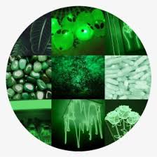 See more ideas about green aesthetic, dark green aesthetic, green wallpaper. Green Aesthetic Background Circle Hd Png Download Transparent Png Image Pngitem