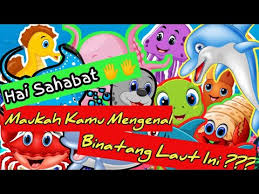 Selain itu, dengan perkembangan teknologi yang menjadikan anaka anak atauorang dewasa pun telah dapat mencari di interney dengan memakai hp yang dibawanya. Download Video Animasi Nama Hewan Laut Bahasa Indonesia Mp4 Mp3 3gp Naijagreenmovies Fzmovies Netnaija