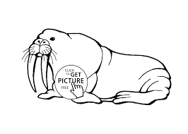 Sea Animals Cartoon Coloring Pages Coloring And Drawing