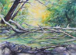 Maybe you would like to learn more about one of these? Water Nikki Artwork