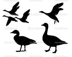 Black And White Goose Silhouette Vector Silhouette Geese On Bird Silhouette White Background Images Silhouette