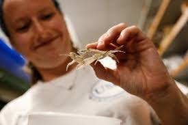 Adam Buzzard's Instagram, Twitter & Facebook