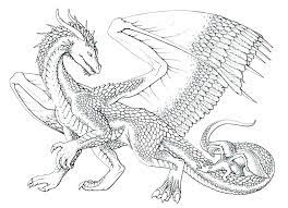pin on dragons