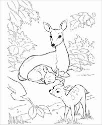 For boys and girls, kids and adults, teenagers and toddlers, preschoolers and older kids at school. Deer Family Coloring Page Coloringbay
