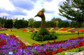 Ini merupakan tempat wisata hits yang berada di kawasan puncak. 10 Tempat Wisata Puncak Instagramable Banget