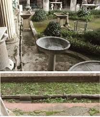 Зверочеловек Лили - самые моменты и непристойные приколы для ценителей