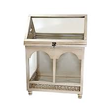 Design Toscano Wooden Wardian Terrarium Buy Online In Brunei At Desertcart