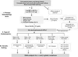 Laboratory Diagnosis Of Thalassemia - Brancaleoni - 2016 - International  Journal Of Laboratory Hematology - Wiley Online Library