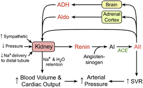 Sodium Chloride And Potassium Sciencedirect