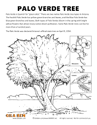 Plus, it's an easy way to celebrate each season or special holidays. Arizona State Tree Palo Verde Coloring Page