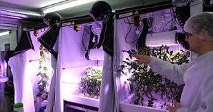 Dlr Projekt Eden Iss Das Paradies Ist Ein Container Golem De Garten Eden Raumfahrt Projekte