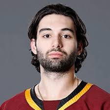 Charlotte Checkers @ Hartford Wolf Pack Friday, March 29, 2019