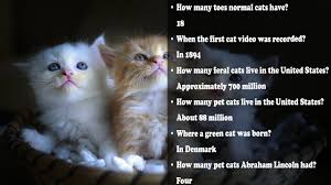 Animals are commonly called only one collective name without any clear distinction. 70 Cat Trivia Questions And Answers All Types