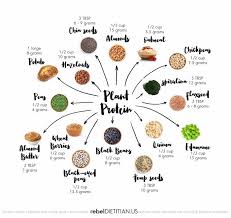 Nuts and seeds are considered to be the cradle of nourishing your search for vegetarian keto food list pdf will be displayed in a. Vegetarian Protein Chart Pdf Detikak