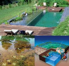 Piscinas Biologicas Aquaponics Applied To Swimming Ponds Google Search Backyard Pool Backyard Natural Swimming Pools