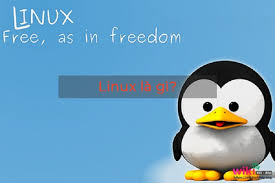 Hệ điều hành linux là gì, công dụng và cách dùng của linux - TMA TECH GROUP