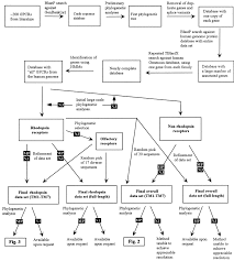 Maybe you would like to learn more about one of these? The G Protein Coupled Receptors In The Human Genome Form Five Main Families Phylogenetic Analysis Paralogon Groups And Fingerprints Molecular Pharmacology