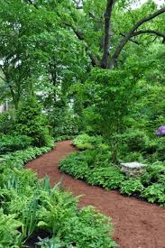 Forest Gardening With Trees And Ground Cover Environmentally Forest Gardening In Your Yard Shade Garden Forest Garden Woodland Garden