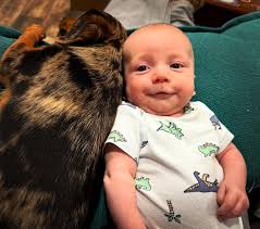 Aaron Higgs (@mxaaron932) • Instagram photos and videos