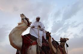 The price of racing and. Saudi Arabia Establishes The First Official Camel Club Al Arabiya English