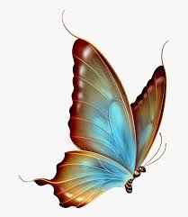 Search free star butterfly wallpapers on zedge and personalize your phone to suit you. 55 Best Of Transparent Background Cute Summer Butterfly Clipart Summer Background