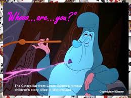 10 major differences between the book & the disney cartoon movie. Alice In Wonderland Caterpillar Quotes Quotesgram